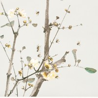 Finom, antik ázsiai /Qing dinasztia, Kína/ illusztráció reprint, poszter, plakát 40*40 cm
