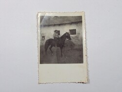 Régi kép fotó fénykép - ló, lovagló férfi