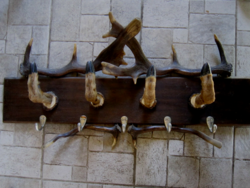 Trófea fogas 80 cm x 15 cm