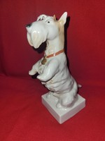 Volkstedt nagyon ritka skót terrier kutya porcelán