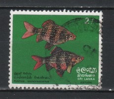 Ceylon (Sri-Lanka) 0044 Mi. 431    8,00 Euró