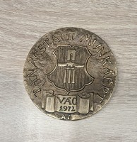 Jelzett emlékérme, plakett, Vác, 1972, Asszonyi Tamás, öntött bronz, 76mm