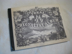 TOKAJ  HEGYALJAI   ALBUM   ,  32 x 25 cm