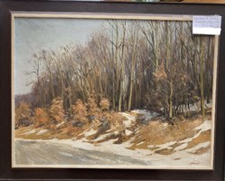 Csabai Kálmán: Csanyik-völgyi rész (78x58 cm)