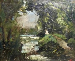 Detrői Ernő : Vízparton