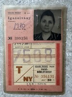 Volán Tröszt igazolvány 1974/01 havi bérlettel