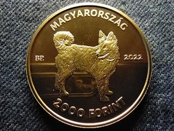 Mudi 2000 Forint 2022 BP PL