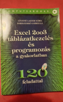 Lévayné Lakner Mária Baksa-Haskó Gabriella Excel 2003 táblázatkezelés és programozás a gyakorlatban