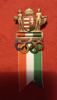 Torino 2006 téli Olimpia Hivatalos résztvevői kitűző