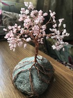 Gyöngybonsai