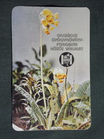 Kártyanaptár,Herbária gyógynövény forgalmi vállalat, Budapest, 1979,  (8)