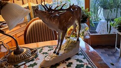 Ritka herendi szarvas, 27x30 cm