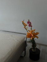 Vintage IKEA Kromvik ágy SULTAN matraccal