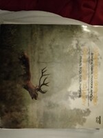 MAGYARORSZÁGI ÁLLATHANGOK