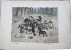 Színezett rézkarc: A zsákmány  jelzett, Beregi Vilmos ? lapméret  35 x 25 cm , 18 x 23 cm