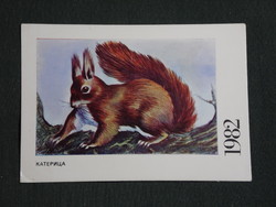Kártyanaptár,Bulgária,állatok sorozat, Mókus,1982,  (8)