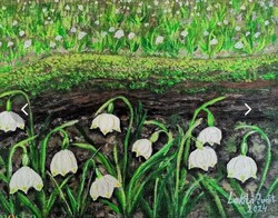 Tőzike virágzás a Fertő - Hanság Nemzeti Park területén