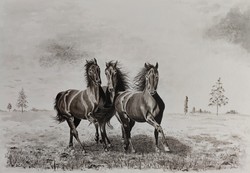 Lovas fekete tus festmény 35x50 cm
