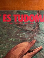 Élet és Tudomány tudományos ismeretterjesztő folyóirat.1977.III.18. Új állapotban