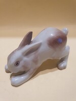 Rita kőbányai nyuszi