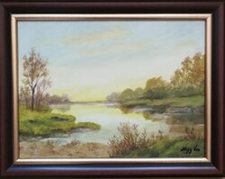 Nagy Éva (1954-) - Ártér - 30x40 cm .- akril - kasírozott vászon