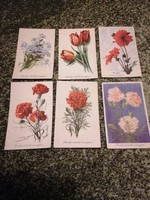 6 db grafikus - szegfű, dália, tulipán, nefelejcs képeslap (50 filléres - kb.1950-es évek)