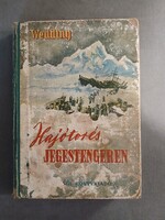 Alex Wedding: Hajótörés a jeges-tengeren