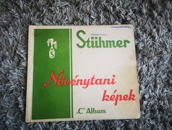 Stühmer Növénytani képek "C" album