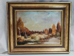 Őszi tájkép, olaj, farost hordozón, Götz szignóval - 32 x 24 cm