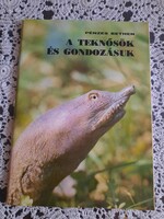Pénzes: A teknősök és gondozásuk, Alkudható