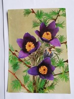 1 db 2,- Ft-os virágos képeslap - Kossuth nyomda - 1975. - Kökörcsin