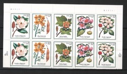 USA postatiszta 0208 Mi F-Bl 24            18,00 Euro