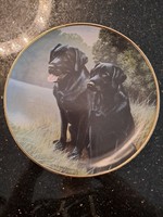 Franklin Mint angol csontporcelán dísztányér fekete labradorokról 20.5 cm