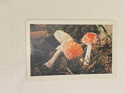 Kártyanaptár. 1987. Képzőművészeti Kiadó Budapest Teljesen új állapotban.