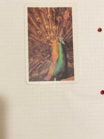 Kártyanaptár. 1987. Teljesen új állapotban. KÉPESBOLT 9021 Győr Arany János u.18.