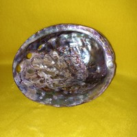 Abalone gyöngyház kagyló, Pávakagyló. Gyűjtemény, Dekoráció.