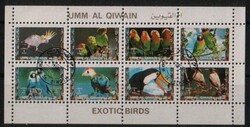 Umm Al Qiwain - Egzotikus madarak