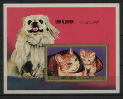 Umm Al Qiwain - Kutya-macska blokk