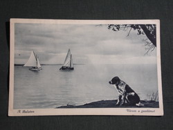 Képeslap,Balaton,Várom a gazdám,kutya,vitorlás hajó,Monostory Bp. kiadás,1940-   ,kék,