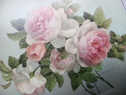 Pimpernel rózsás poháralátét szett 5db-os 10.5x10.5cm