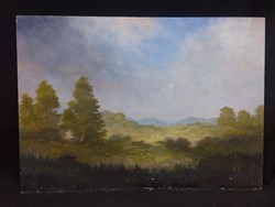 Jákó Balázs - Hegyi táj - olaj, farost festmény 50 x 70 cm