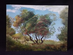 Szécsi Katalin - Akácok olaj, farost festmény 30 x 40 cm