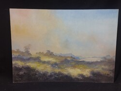 Jákó Balázs - Füves táj - olaj, farost festmény 50 x 70 cm