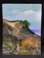 Turza Ferenc - Tengerpart alakkal olaj, farost festmény 30x40 cm