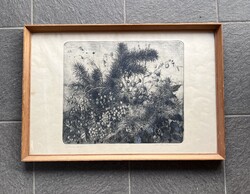 Hertay Mária rézkarc - 42 x 62 cm kerettel