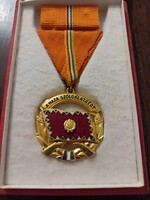 A Haza Szolgálatáért Érdemérem arany fokozata + mini szalaggal díszdobozban dobozában.