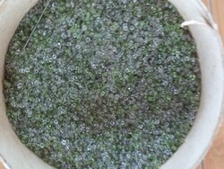 Mini gyöngyök üveggyöngyök ékszerkészítőknek , kézműveseknek