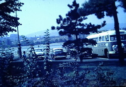 Régi diakép MÁVAUT busz a bokrok mögött 1960as évek