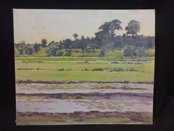 Molnár G. Zoltán - Táj. - selyemfestmény 50x60 cm
