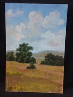 Dupkoveckij Szergej - Tisztás - olaj, farost festmény 40x60 cm